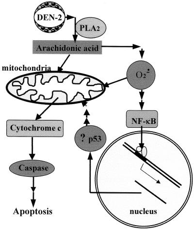 FIG. 9