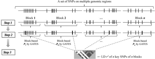 Figure 1