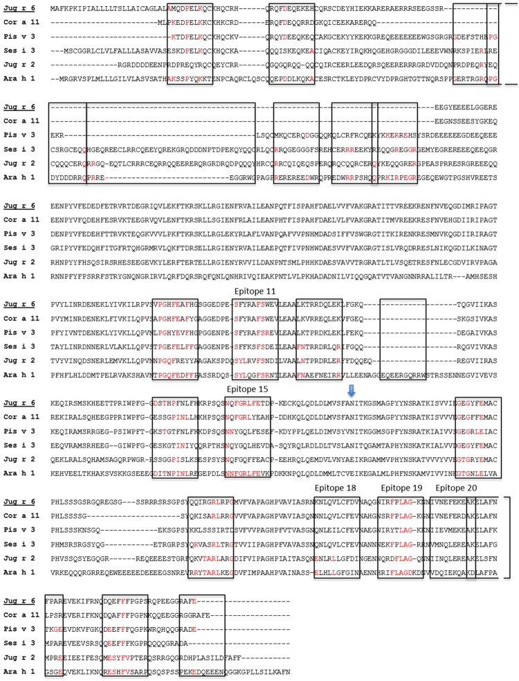 Figure 9