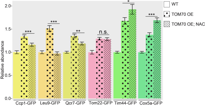 Figure 2—figure supplement 1.