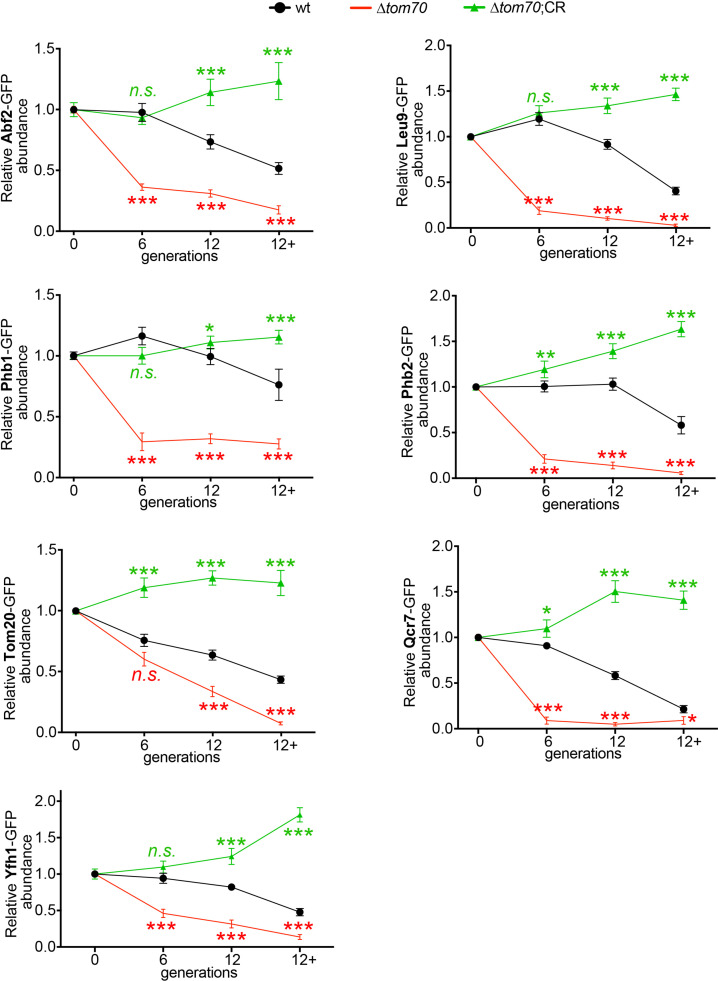 Figure 6—figure supplement 1.