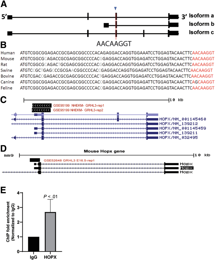 Figure 6