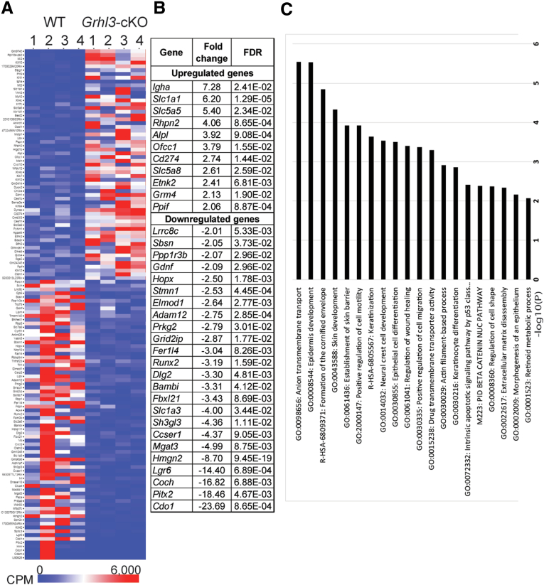 Figure 4