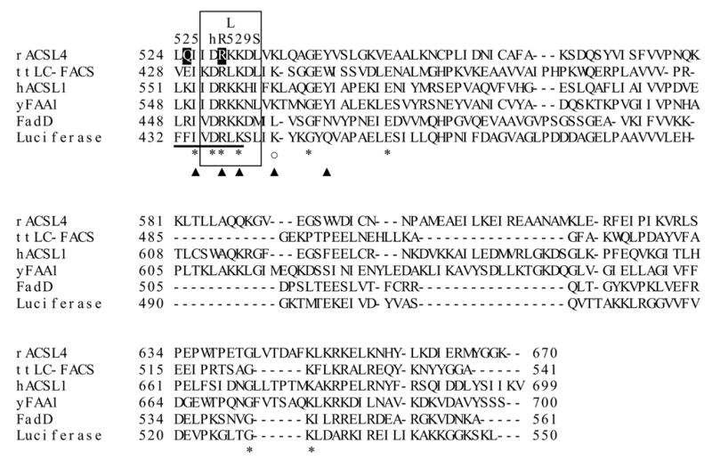 Figure 1A