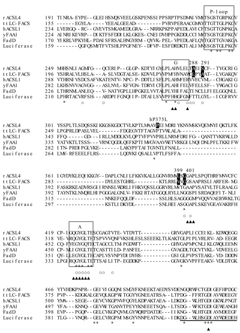 Figure 1A