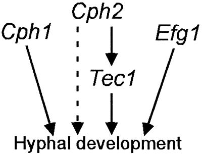 FIG. 10