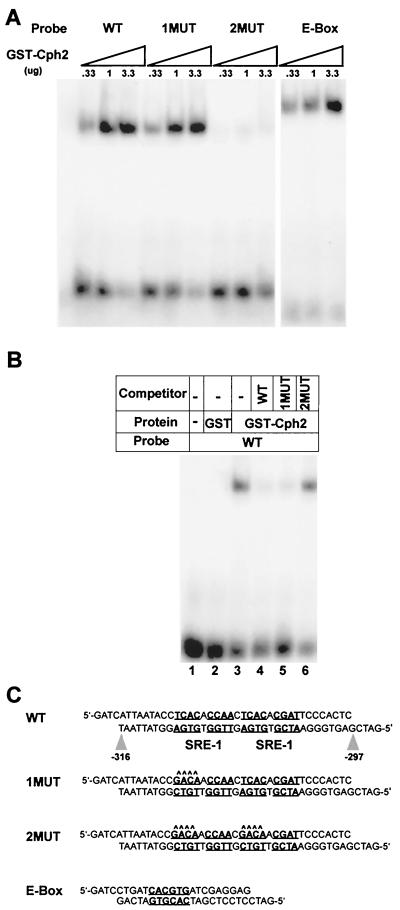 FIG. 7