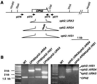 FIG. 3