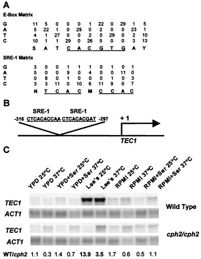 FIG. 6