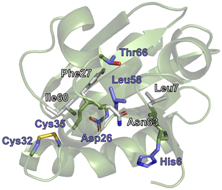 Figure 17.