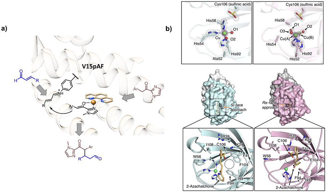 Figure 43.