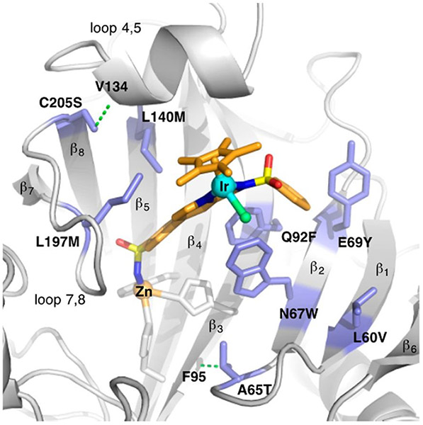 Figure 69.