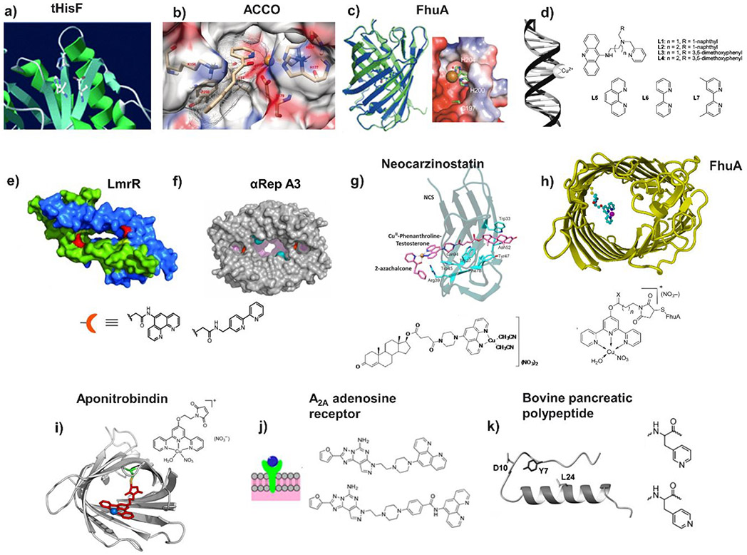 Figure 41.