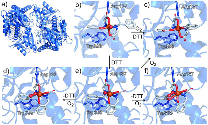 Figure 22.