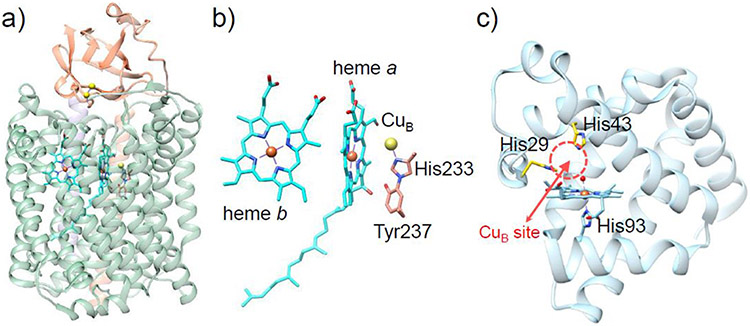 Figure 47.