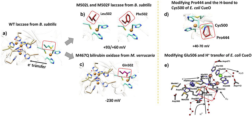 Figure 31.