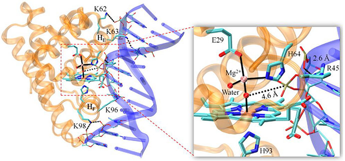 Figure 55.