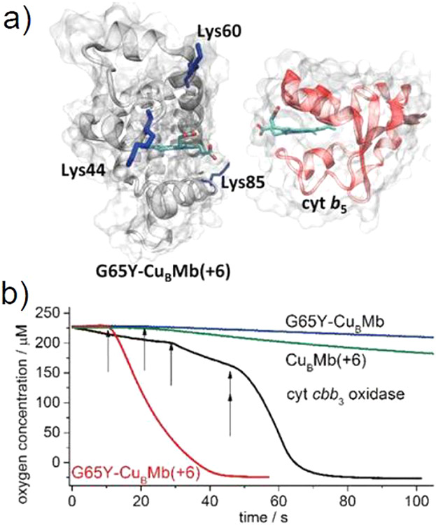 Figure 49.