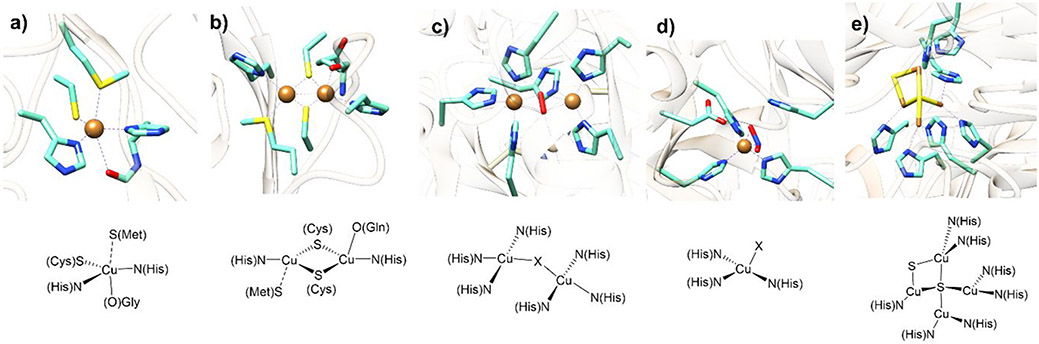 Figure 28.