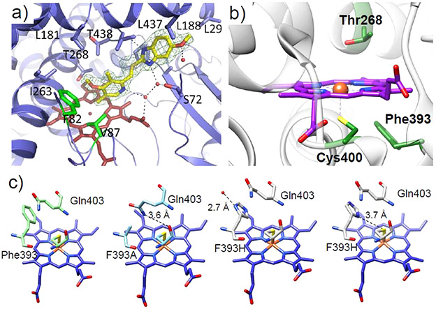 Figure 11.