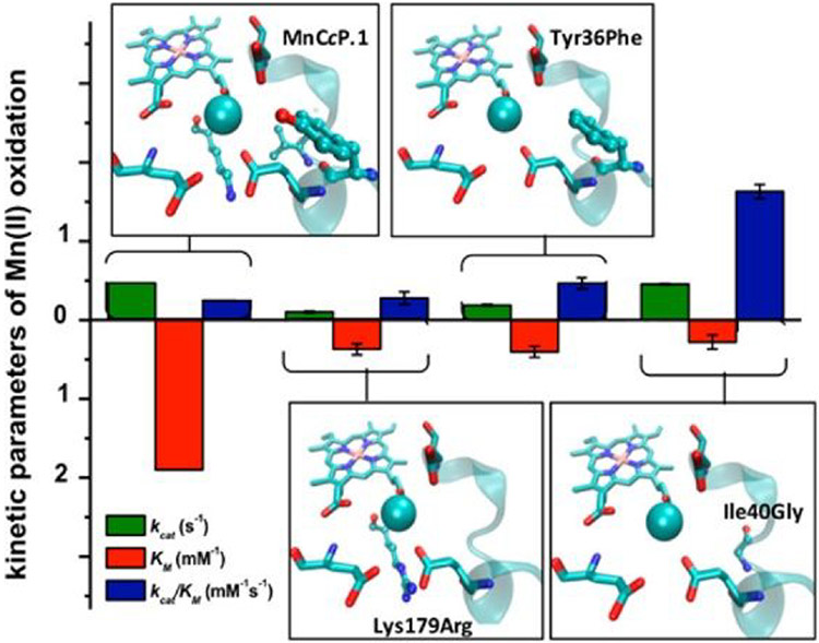 Figure 46.