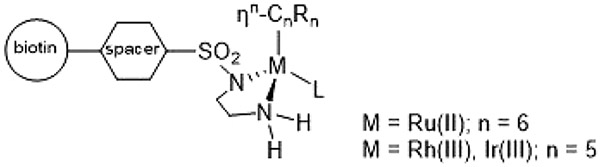 Scheme 5.