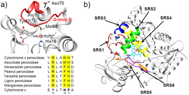 Figure 9.