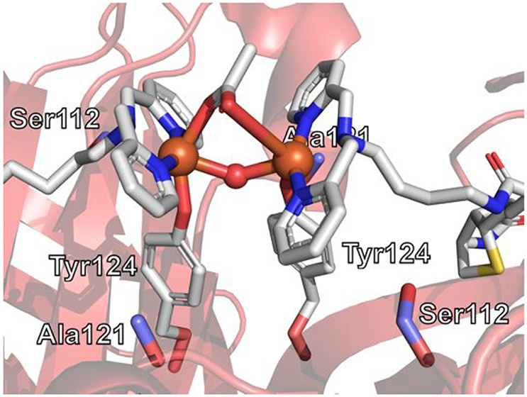 Figure 26.