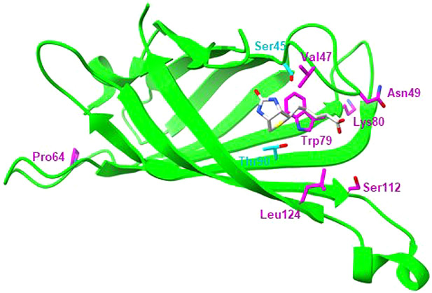 Figure 66.