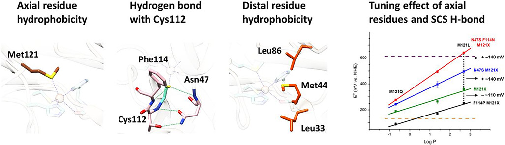 Figure 29.