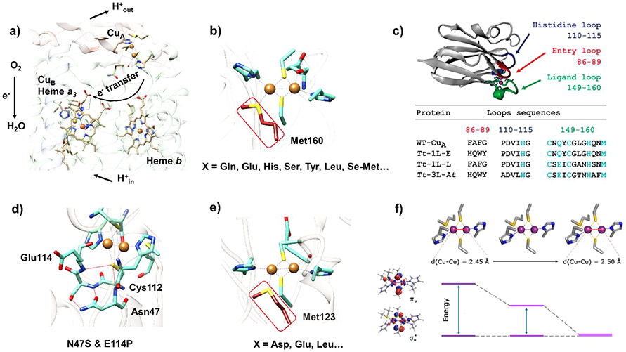 Figure 33.