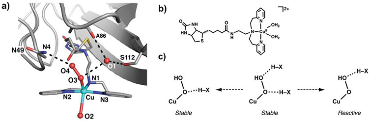 Figure 39.