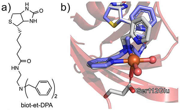 Figure 25.