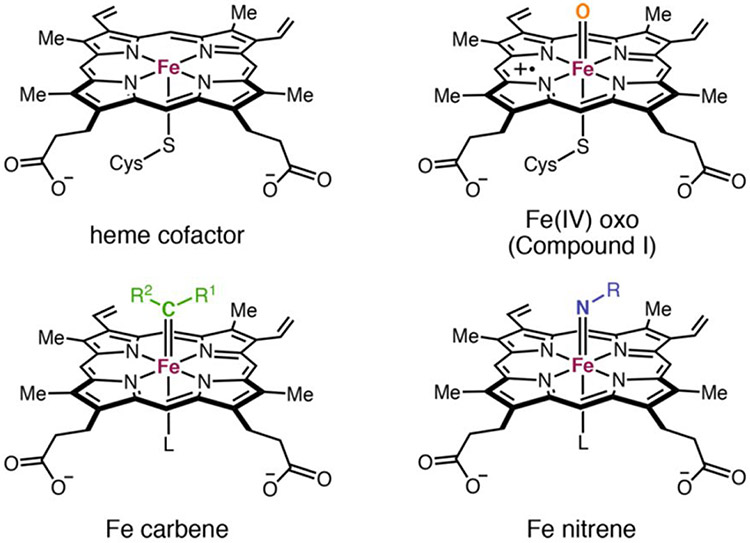 Figure 12.