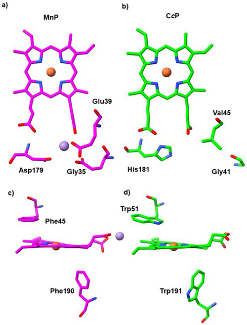 Figure 45.