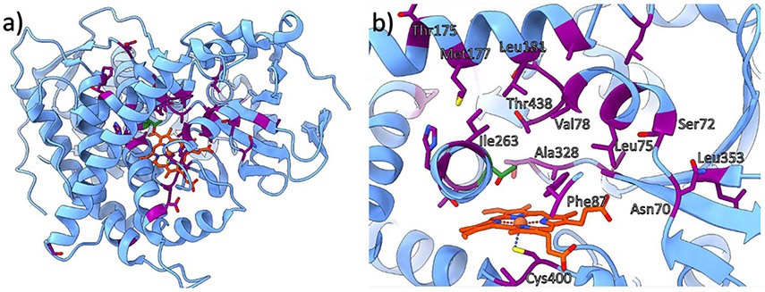 Figure 13.