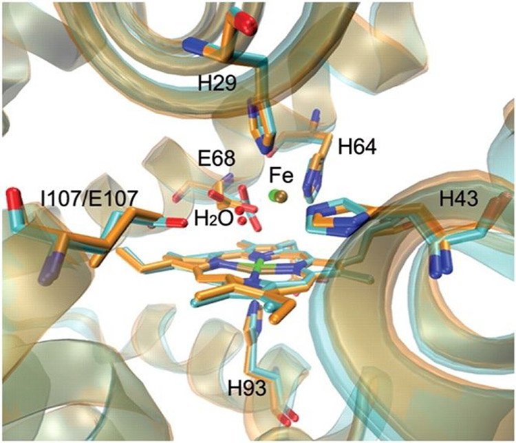 Figure 53.