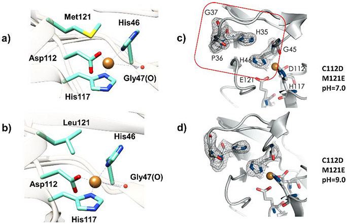 Figure 36.