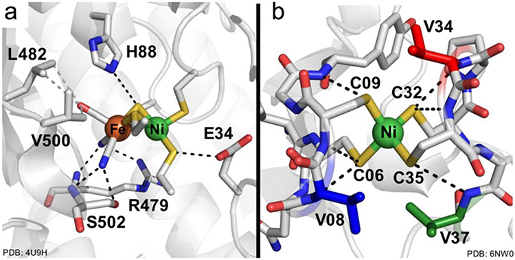 Figure 64.