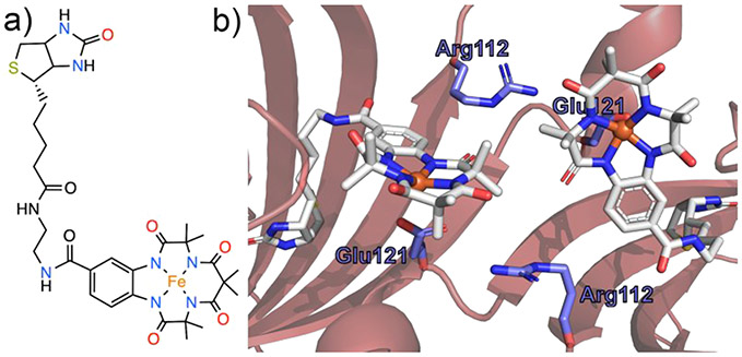 Figure 24.