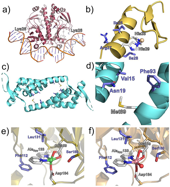 Figure 20.