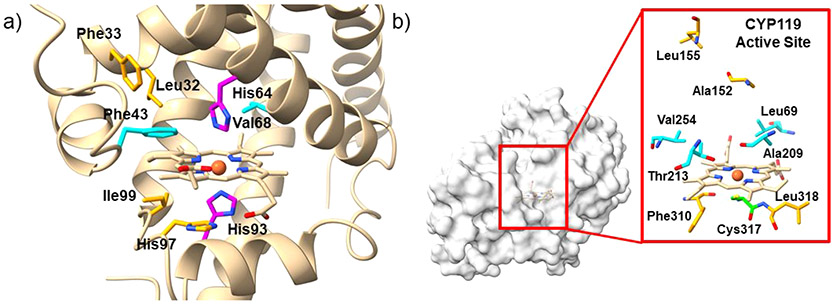 Figure 62.