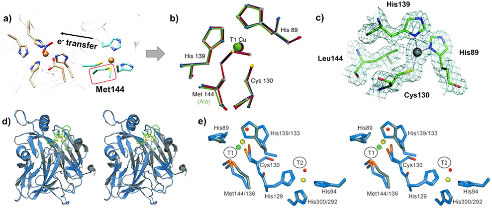 Figure 32.