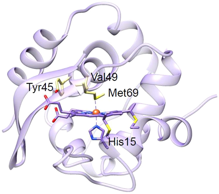 Figure 10.