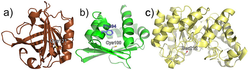 Figure 21.