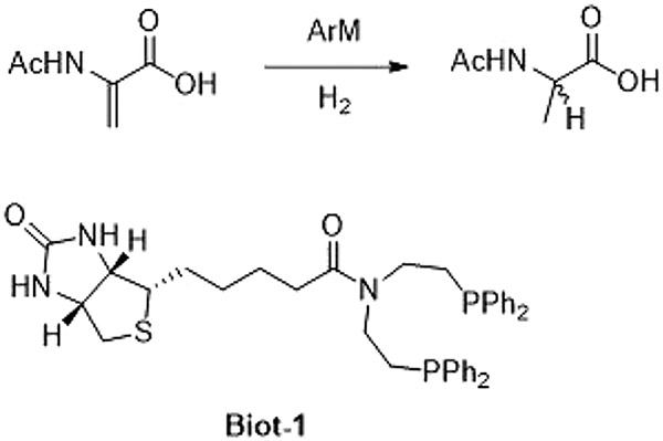 Scheme 4.