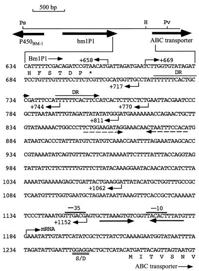 FIG. 1