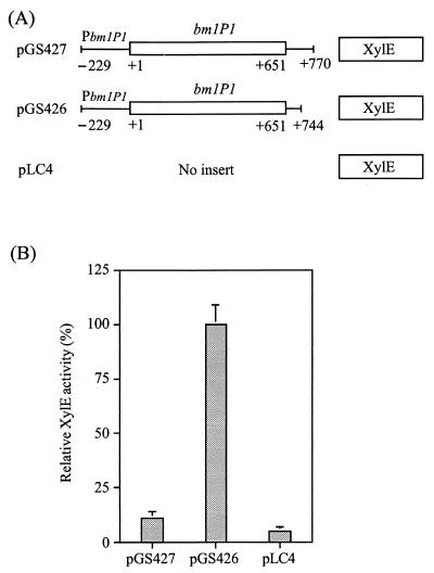 FIG. 6