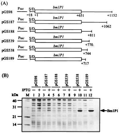 FIG. 5