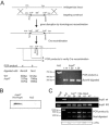 FIG. 7.